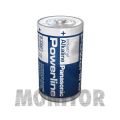 Bateria alkaliczna D LR20 1,5V Panasonic POWERLINE 1 szt.